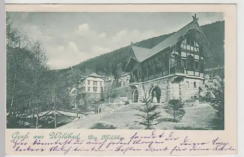 (72093) AK Gruß aus Wildbad, Schwarzwald, Milchkur 1902