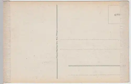 (7097) AK Hornberg, Schwarzwald, Panorama, vor 1945