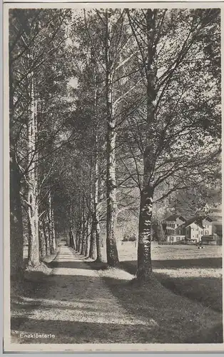 (70088) Foto AK Enzklösterle, Waldweg m. Gasthof zum Waldhorn, 1930