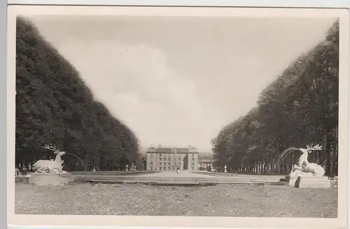 (68056) Foto AK Schwetzingen, Schloßgarten, Hirschgruppe