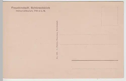 (67880) AK Freudenstadt, Gesamtansicht, vor 1945