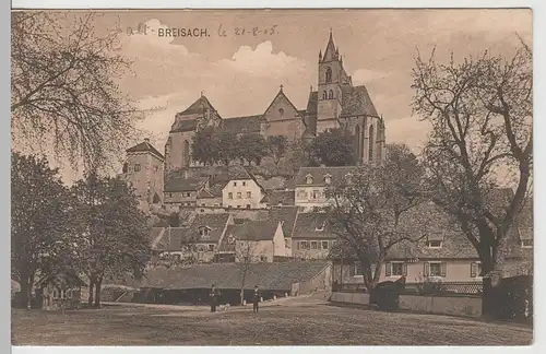 (66082) AK Breisach, Blick zum Münster 1905