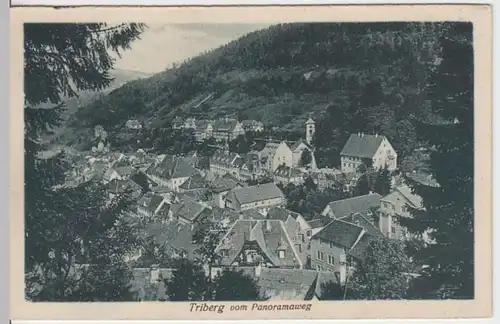 (6065) AK Triberg im Schwarzwald, Panorama, vor 1945