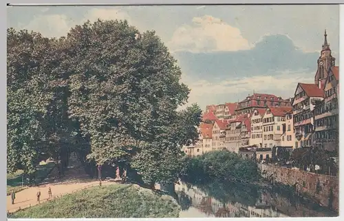 (57533) AK Tübingen, Platanenallee 1918