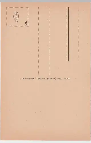 (56540) AK Meersburg am Bodensee, Schloss v.d. Steig, vor 1945