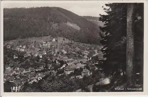 (5559) Foto AK Wildbad im Schwarzwald, Panorama