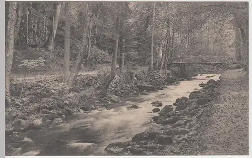 (54573) AK Bad Wildbad, Partie in der Kgl. Anlage, 1910