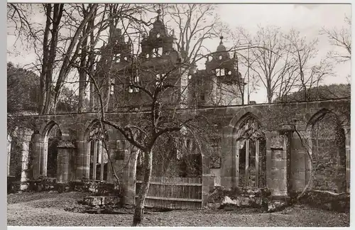 (54210) Foto AK Hirsau, Kreuzgang m. Schloßruine u. Ulme, nach 1945