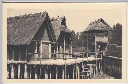 (53815) Foto AK Unteruhldingen am Bodensee, Pfahldorf, nach 1945