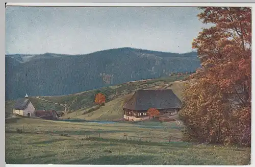 (51698) AK Partie am Hohnen bei Triberg, Schwarzwald, 1916