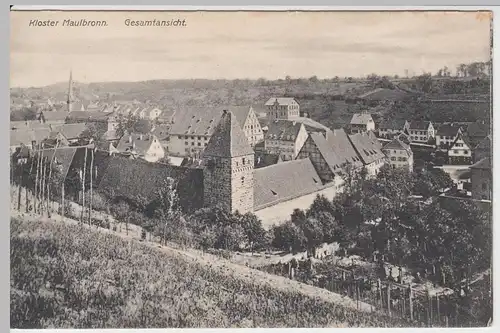 (51543) AK Kloster Maulbronn, Gesamtansicht, um 1910