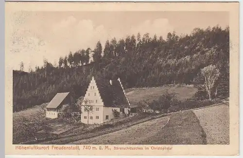 (51542) AK Freudenstadt, Bärenschlösschen im Christophstal, 1911