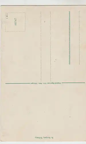 (43598) AK Triberg, Schwarzw., Panorama, vor 1945