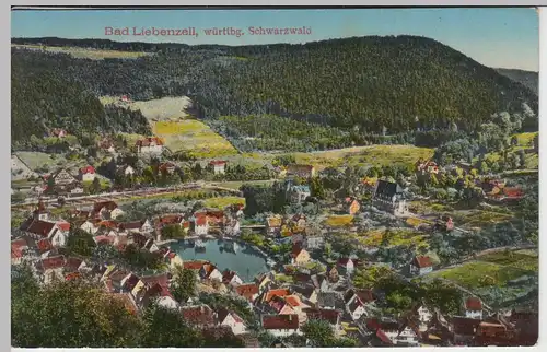 (43283) AK Bad Liebenzell, Panorama, vor 1945