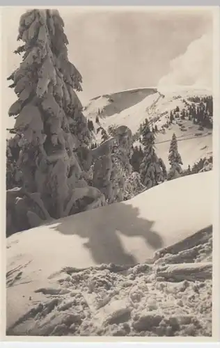 (4264) AK Bernau im Schwarzwald, Herzogenhorn vor 1945