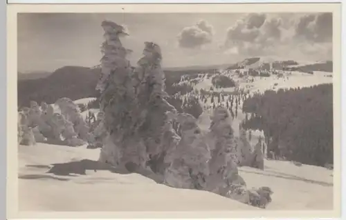 (4254) Foto AK Feldberg, Schwarzwald, Herzogenhorn