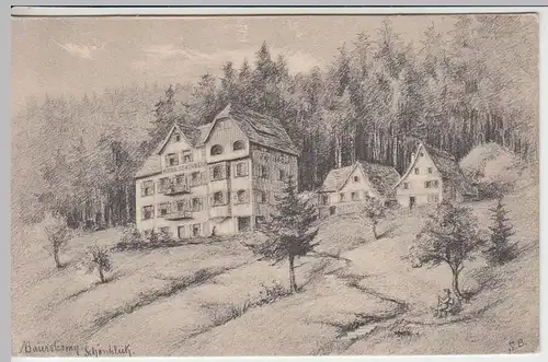 (41880) Künstler AK S.B.: Baiersbronn, Hotel Schönblick, 1912