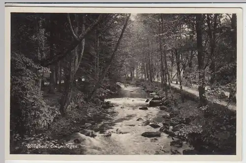 (41542) Foto AK Bad Wildbad, Enzanlagen 1930