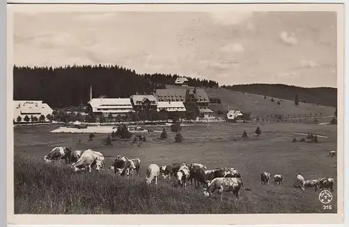 (40815) Foto AK Feldberg, Hotel Feldbergerhof