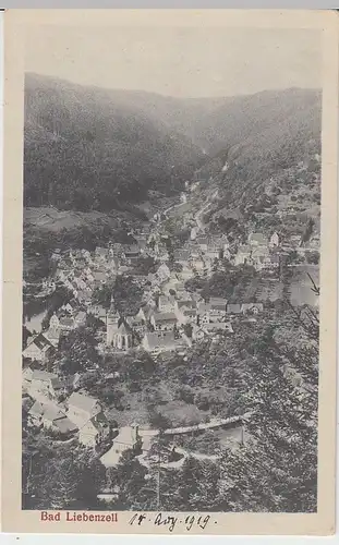 (39055) AK Bad Liebenzell, Totale 1919