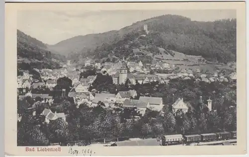 (38625) AK Bad Liebenzell, Totale, 1919