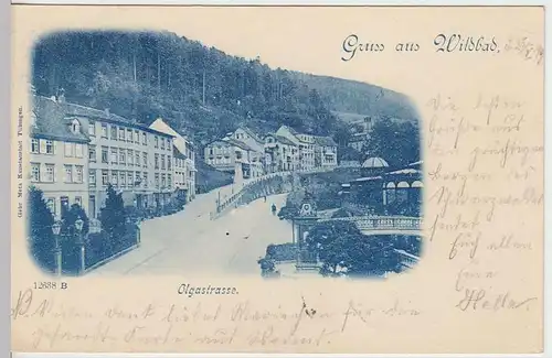 (34613) AK Gruss aus Wildbad, Olgastraße, 1899