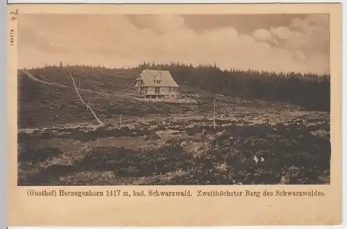 (3382) AK Herzogenhorn, Gasthof, vor 1945