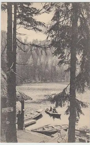 (33016) AK Seebach, Mummelsee, Blick vom Hotel, vor 1945