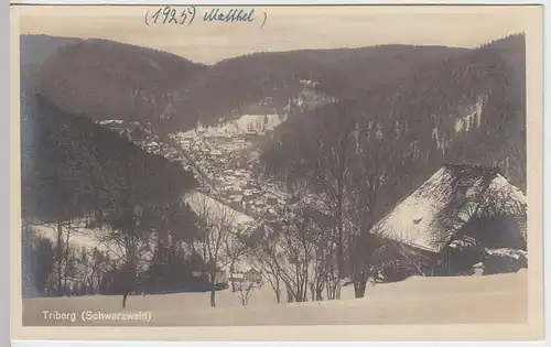 (32944) Foto AK Triberg, Blick auf den Ort, 1925