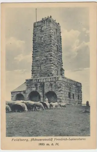 (3181) AK Feldberg, Schwarzw., Friedrich-Luise-Turm 1910/20er