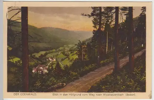 (31157) AK Odenwald, Blick in den Höllgrund n. Waldkatzenbach, 1930