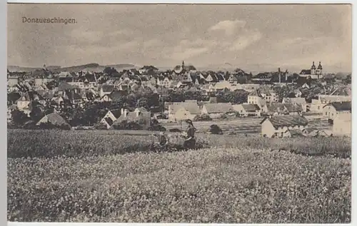 (25083) AK Donaueschingen, Panorama, Feldpost 1915