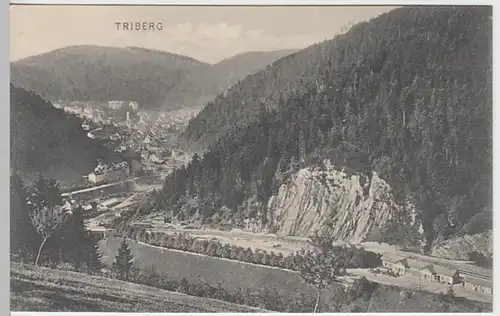(24662) AK Triberg im Schwarzwald, Panorama, vor 1945