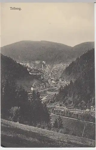 (24660) AK Triberg im Schwarzwald, Panorama, vor 1945