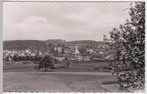 (22187) Foto AK Aulendorf, Panorama, Schloss 1955