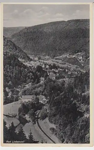 (20177) AK Bad Liebenzell, Panorama, vor 1945