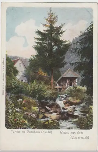 (18871) AK Gruß aus dem Schwarzwald, Zweribach, Kandel, bis 1905