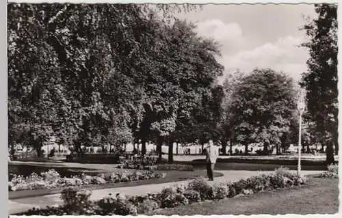 (13799) Foto AK Konstanz, Stadtgarten, nach 1945