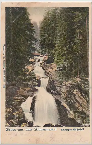 (115916) AK Gruss aus dem Schwarzwald, Triberger Wasserfall 1903