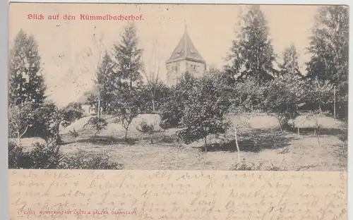 (115002) AK Kümmelbacher Hof, Neckargemünd 1903
