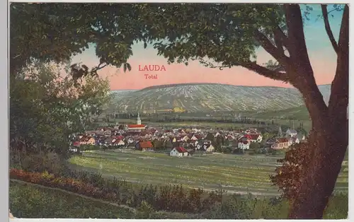 (114551) AK Lauda, Panorama, Lauda Königshofen 1919