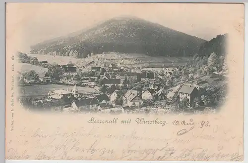 (113939) AK Bad Herrenalb, Panorama, Wurstberg 1898