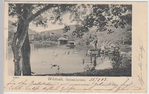 (113934) AK Bad Wildbad, Schwanensee 1903