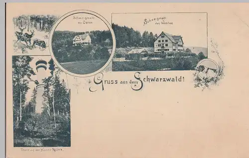 (113561) AK Gruß aus dem Schwarzwald, Schweigmatt, Hohe Möhr, bis 1905