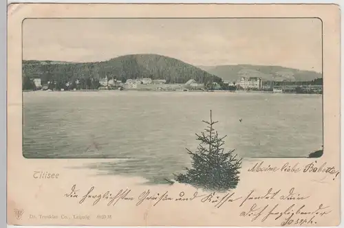 (113374) AK Titisee, Schwarzwald, bis 1905