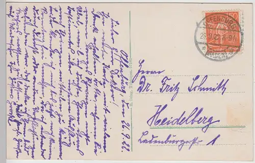 (113338) AK Offenburg, Zwinger Anlagen 1922