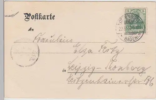 (113335) AK Offenburg, Zwinger Anlagen, Litfaßsäule, Kopf Garten 1903