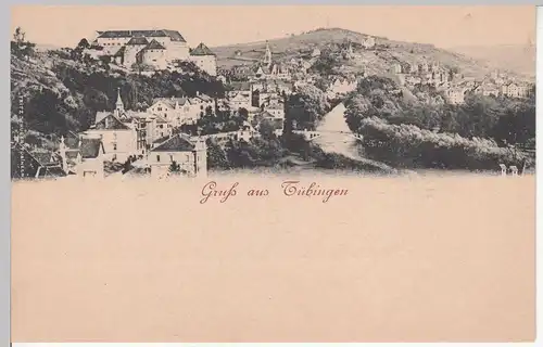(113172) AK Gruß aus Tübingen, Panorama, bis 1905