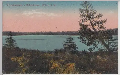 (113109) AK Hohlohsee bei Kaltenbronn, 1922