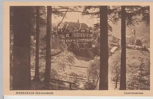 (112902) AK Herrenalb, Charlottenruhe 1920